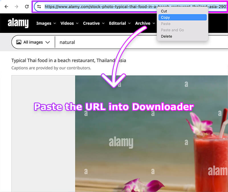 Alamy Image Download Tutorial