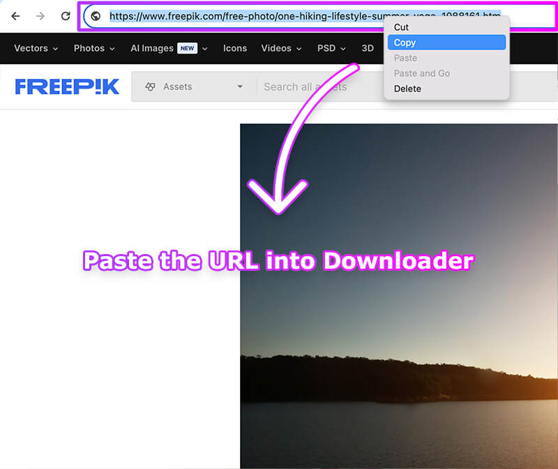 how to download illustrator file from freepik