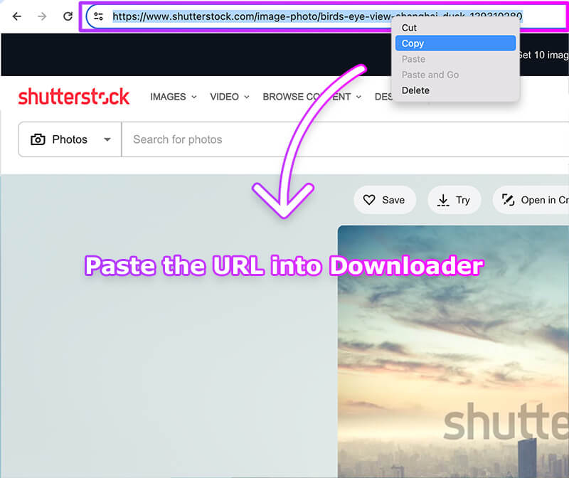 Shutterstock Image Download Tutorial